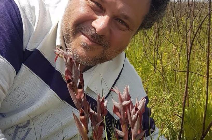 nuova orchidea ugento
