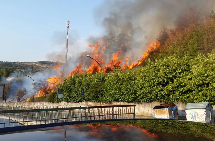 incendi in basilicata