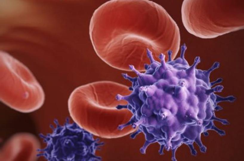 leucemia