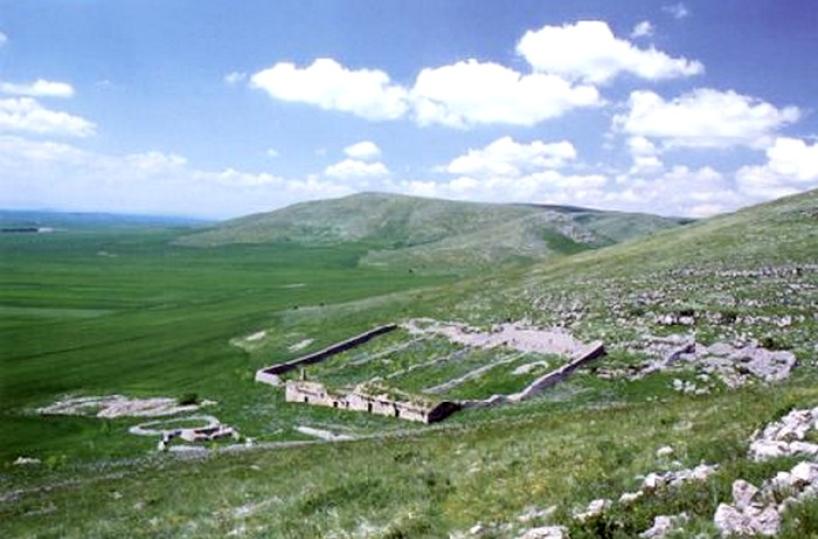 murgia