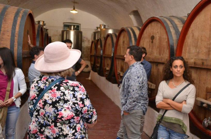 TURISMO - La vendemmia, un'esperienza da assaporare in Puglia