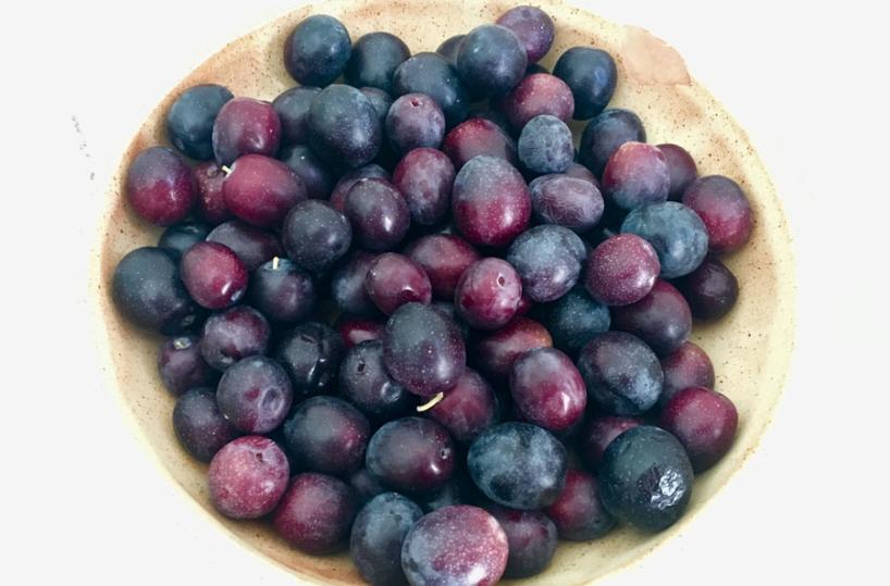 IN PADELLA - In autunno, olive da friggere e olio nuovo