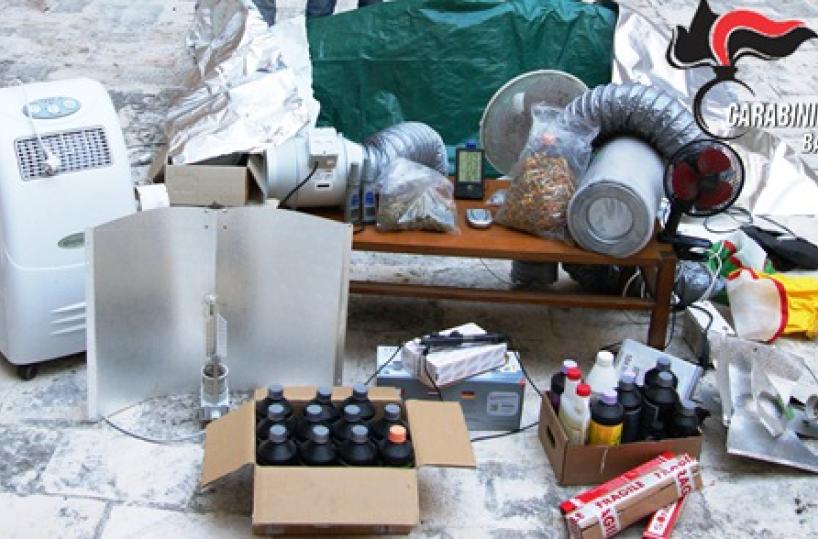 Droga,  «serra» a MonopoliA Terlizzi un droga-market