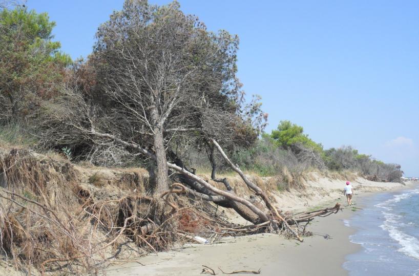 Spiagge, allarme erosioneper tre chilometri di litorale