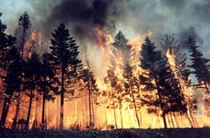incendio