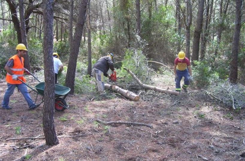 Riaprono i cantieri forestaligiornate confermate a tutti