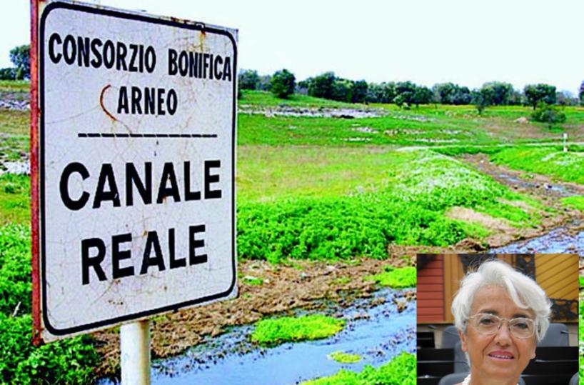 Una strategia comune per salvare il Canale Reale