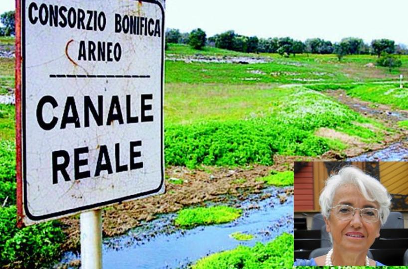 Una strategia comune per salvare il Canale Reale