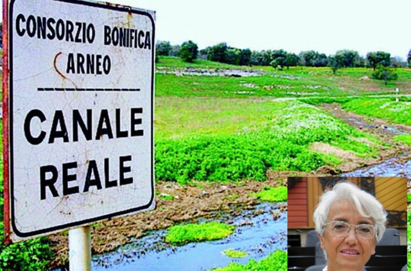 Una strategia comune per salvare il Canale Reale