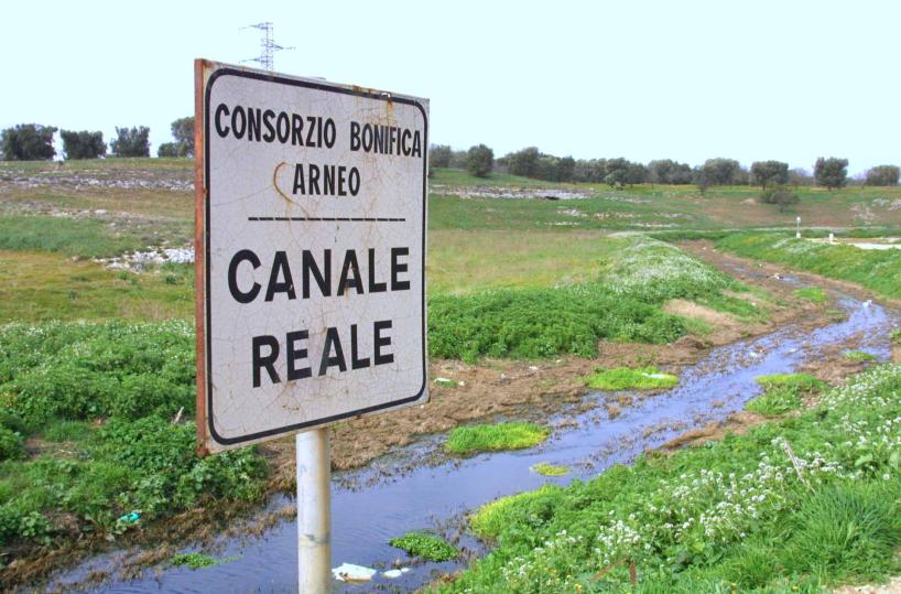 canale reale