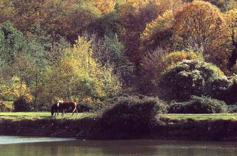 parco