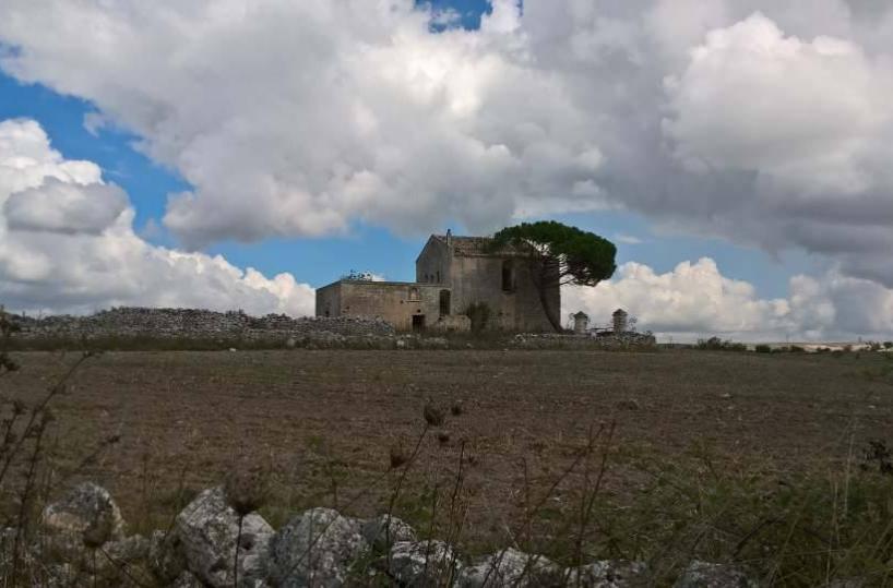 murgia