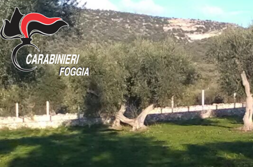Preso caporale nel Foggianoera nel «ghetto» di Rignano