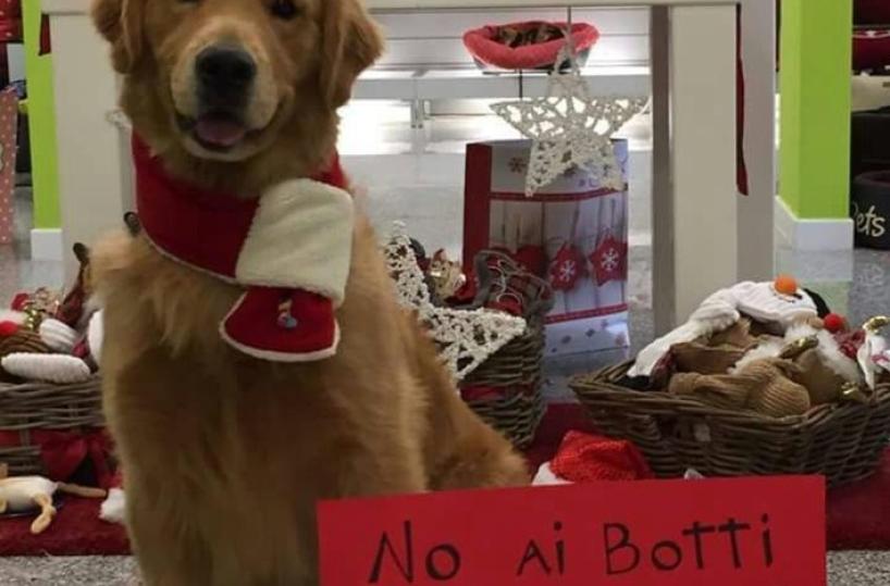 no botti più biscotti