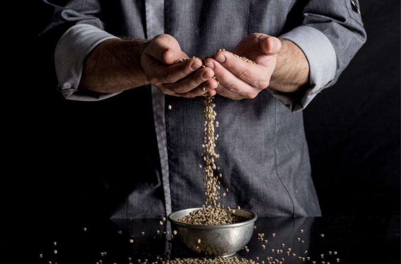 LEGUMI - Di eccellenza, quelli di Altamura sono ben digeribili