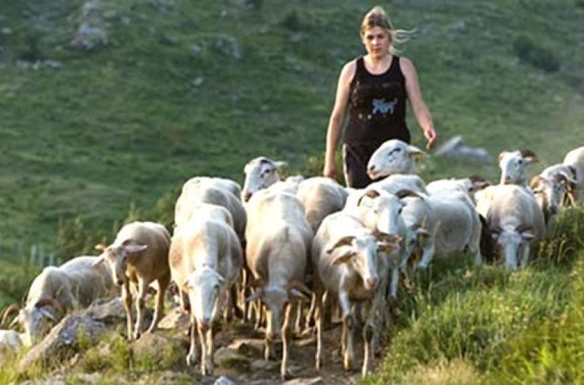 donne pastore