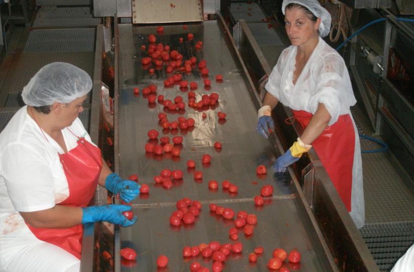 pomodoro