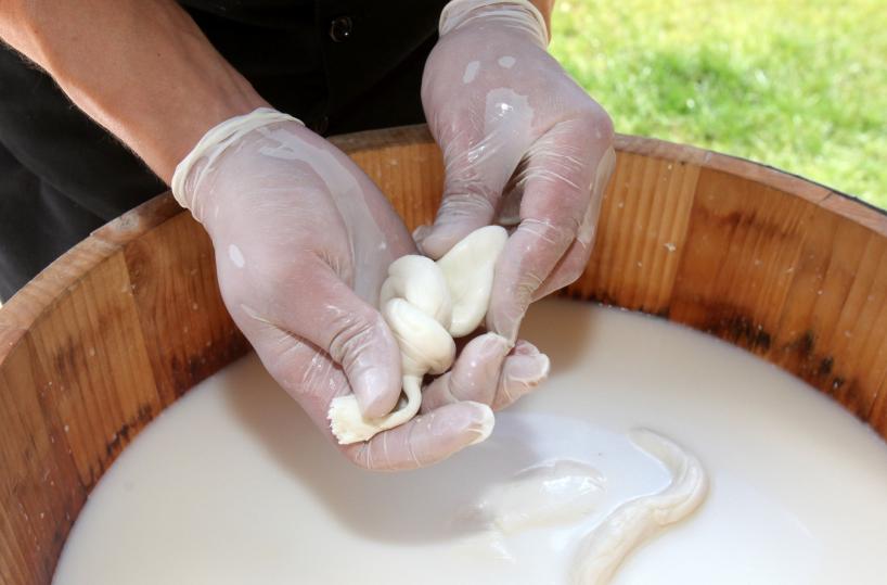 mozzarella