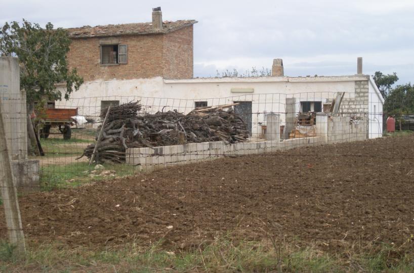 azienda agricola