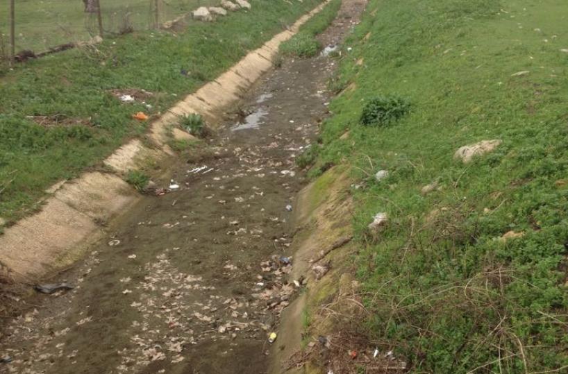 Il Canale Reale senz'acquale domande al Consorzio Arneo