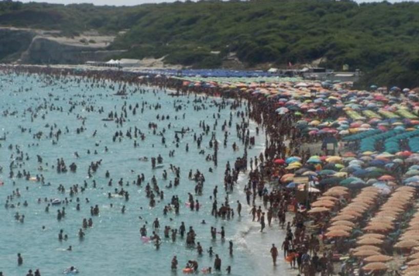 mare