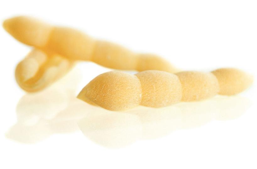 Cavatelli murgiani della Granoro linea «Dedicato»