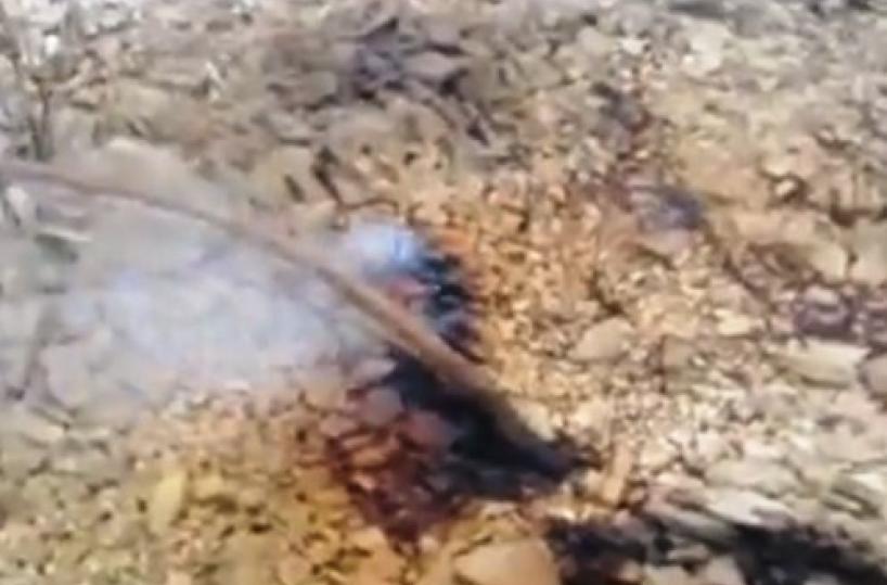 discarica Trani in fiamme