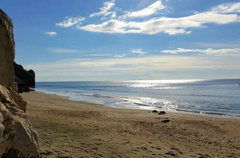 mare