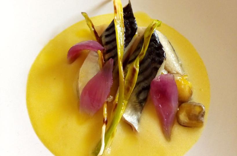 Ricette Puglia - Sgombro su crema di cicerchie e sponsali arrostiti - A cura dello chef Pierpaolo Nardone