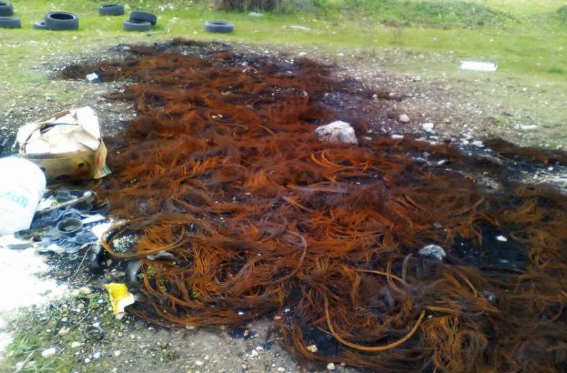 Segnalazioni dei Rangers«L'immondizia "parla" per denunciare chi sporca» 