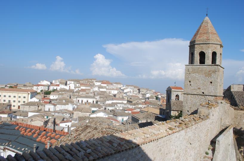 Bovino