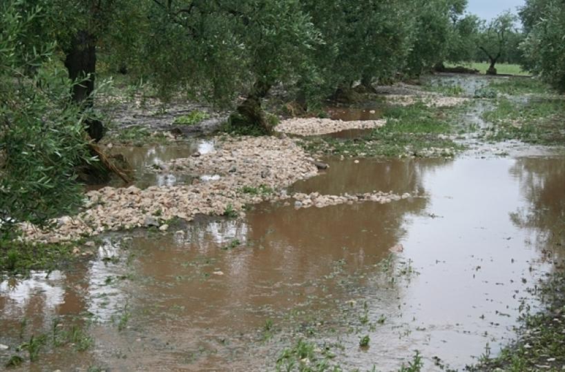 pioggia nelle campagne