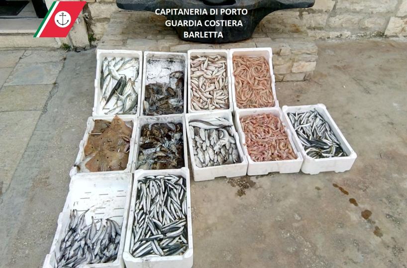 Sequestrati 60 chili di  prodotti ittici a Barletta