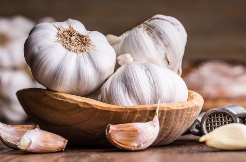 L'aglio: dall'antichità ai giorni nostri. 