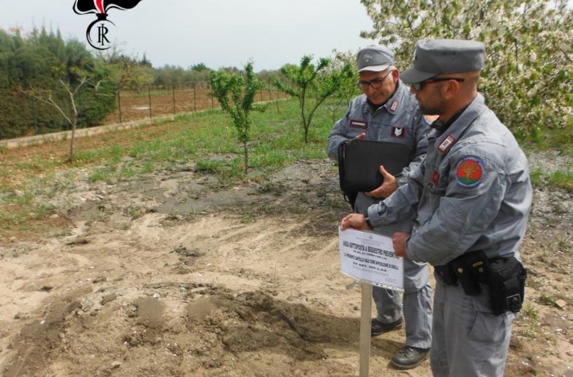 Corato, 150 quintali di fanghi del suo autolavaggio smaltiti in campagna