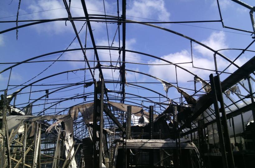 data alle fiamme azienda vivai leverano
