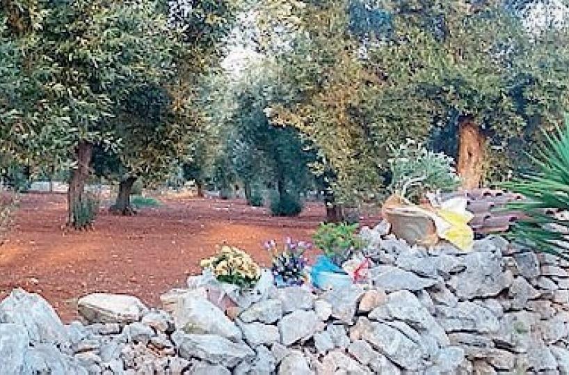 Famiglia del dj  Navi denuncia il Pm 