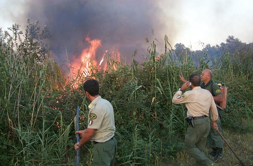 Parco dell’Ofanto tra rifiuti e incendi