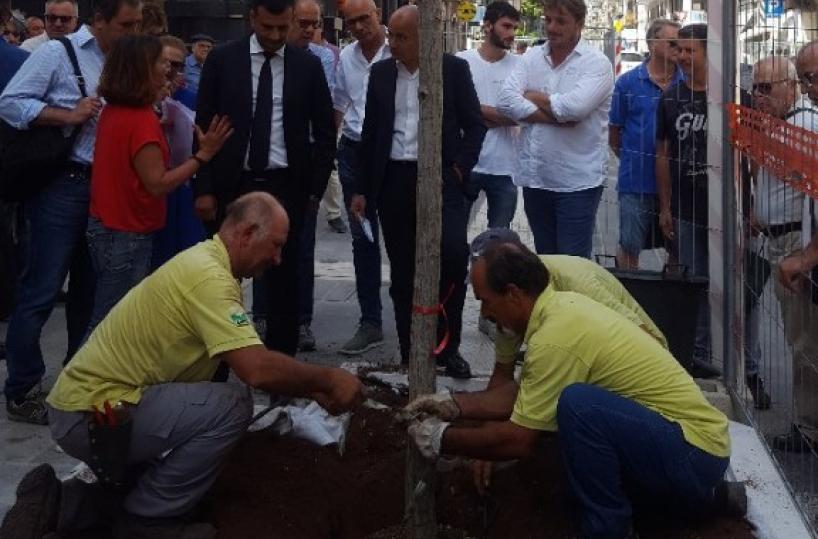 Bari, piantumati i primi alberi in via Sparano