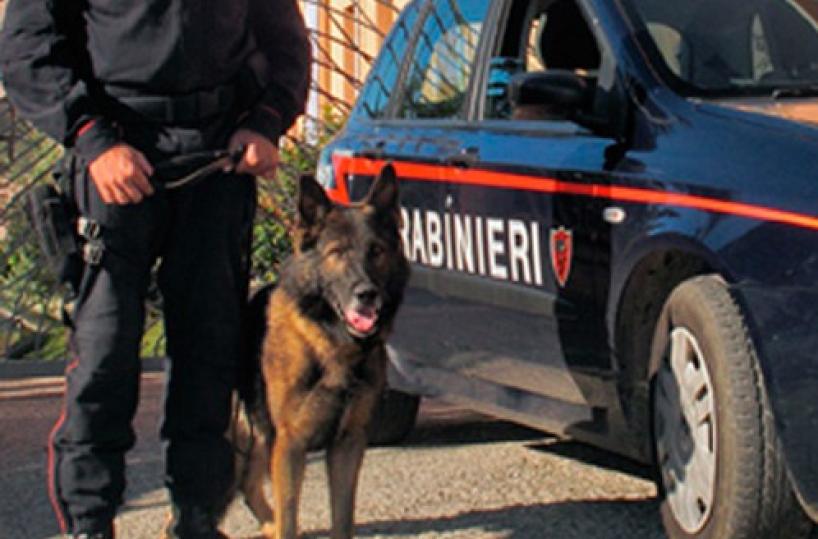 Barletta, in villa mezzo chilodi droga: arrestato un 45enne