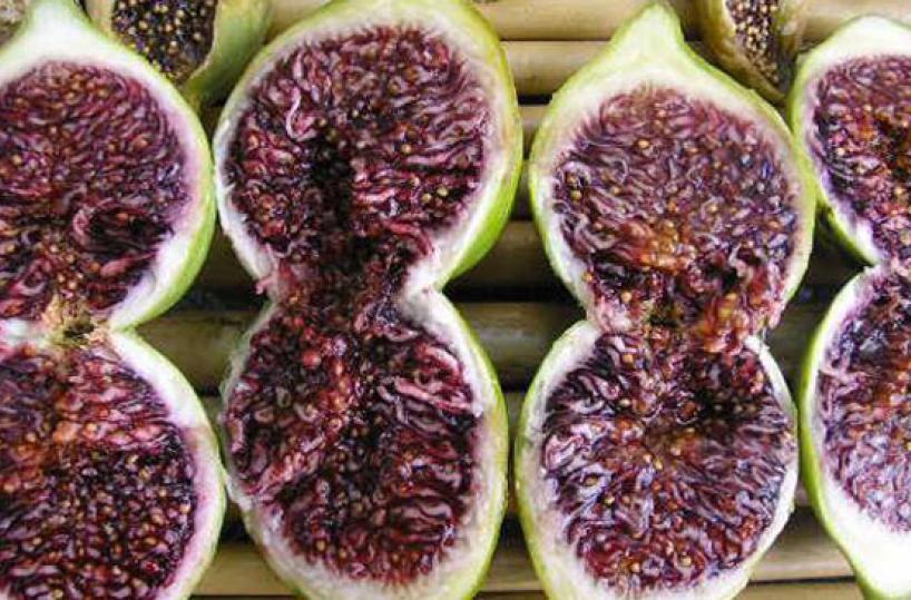 A SANGUE - Così si chiamano quelli dal colore rosso