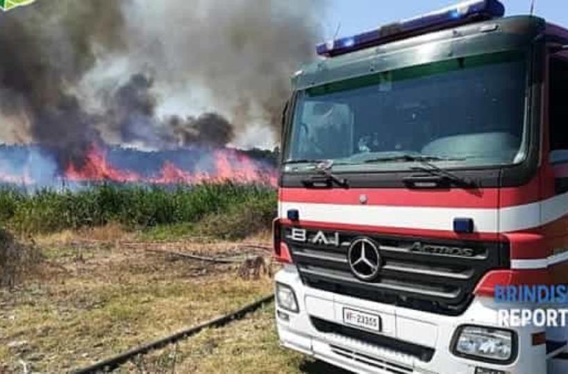 Ancora fiamme a Torre Guaceto