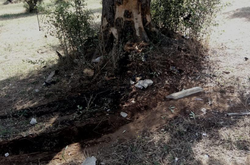 ospedale Vito Fazzi di Lecce