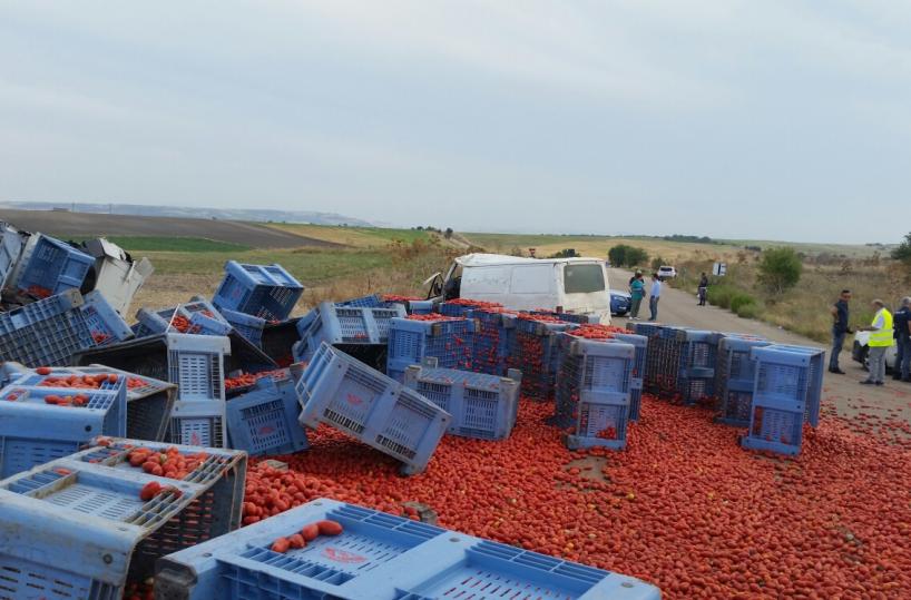 Al supermercato ricordiamoci delle apocalissi dei braccianti