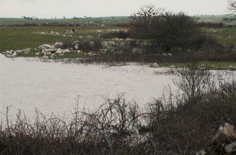Agricoltura nel Nord Barese in ginocchio a causa del maltempo