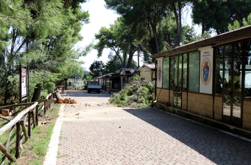 Parco Cimino, al via i lavori per la messa in sicurezza della pineta