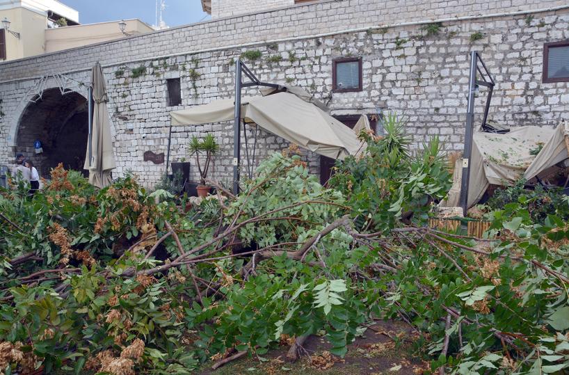 Bari, nubifragio manda in tiltla città: alberi caduti e allagamenti