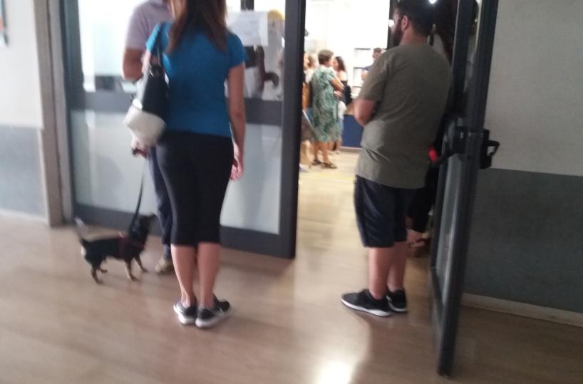 Centro per l'impiego, manca personaleAccoglienza limitata a 60 unità al giorno