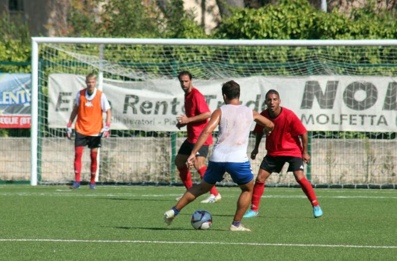 Bari calcio ultrà curva