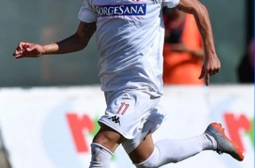 Bari, ecco come abbonarsi alla nuova stagione: curva nord a 90 euro
